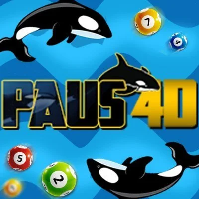paus4d